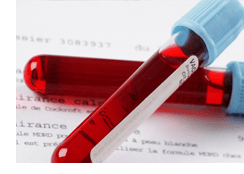 blood testing pets