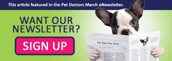 Pet Doctors Newsletter Signup
