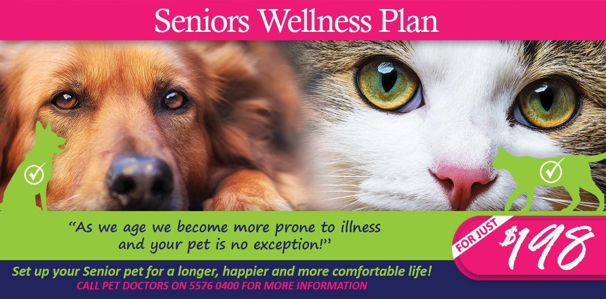 Seniors Wellness Plan 