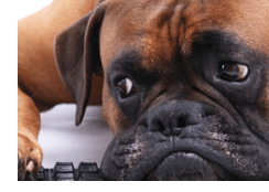 vomiting and Diarrhoea